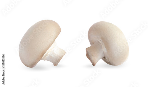 Two white champignons isolated. Whole fresh mushrooms on a white background