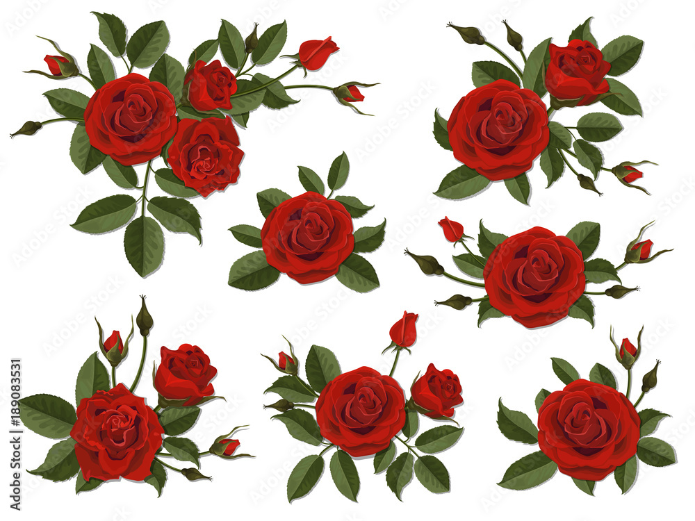 Red rose boutonniere. Set for floral design of a greeting, wedding or invitation card. Bouquet of decorative garden flower. Bud, petals and leaves of plant. Red rose boutonniere. Set for floral design of a greeting, wedding or invitation card. Bouquet of decorative garden flower. Bud, petals and leaves of plant.