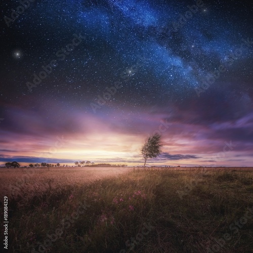 Beautiful landscape with field under sky with starrs