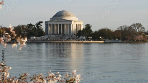 close view of the jefferson memorial and cherry blossoms on a calm spring afternoon in washington d.c.