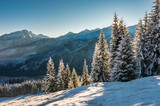 Winter mountain landscape, Tatra mountains, morning