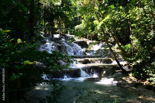 Fototapeta Naklejka Na Ścianę i Meble -  Jamaican Waterfall