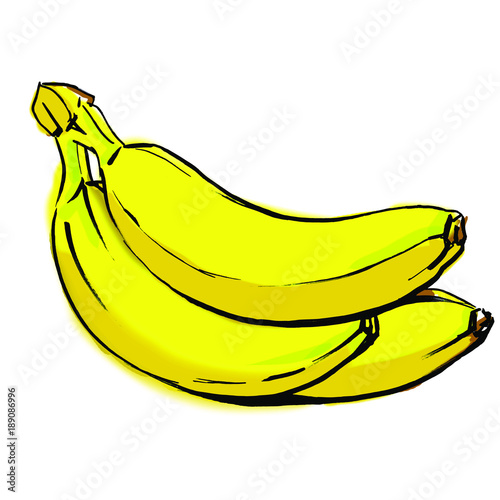 Bananas brunch hand drawed vector