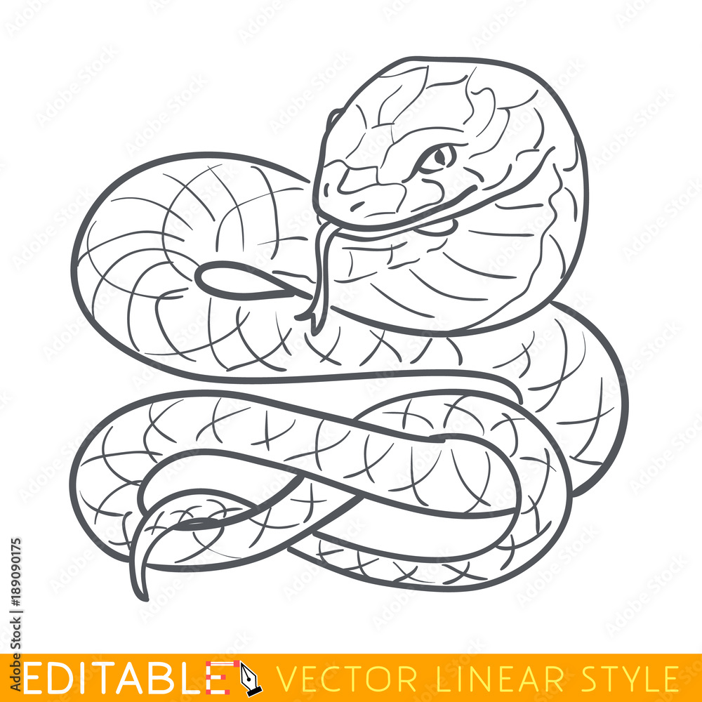 Snake Calendar 2025 gelya siouxie