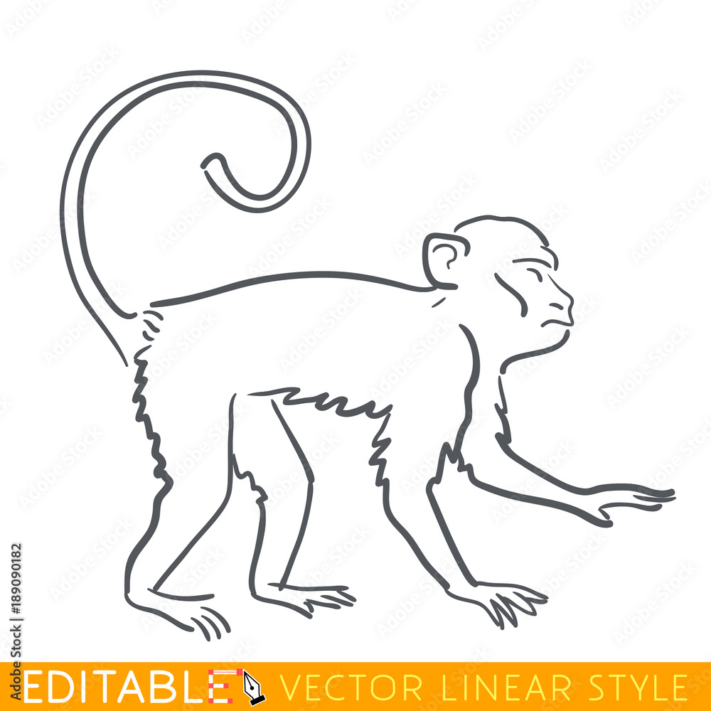 Monkey zodiac sign. Ape Chinese year. Calendar 2028. Editable line