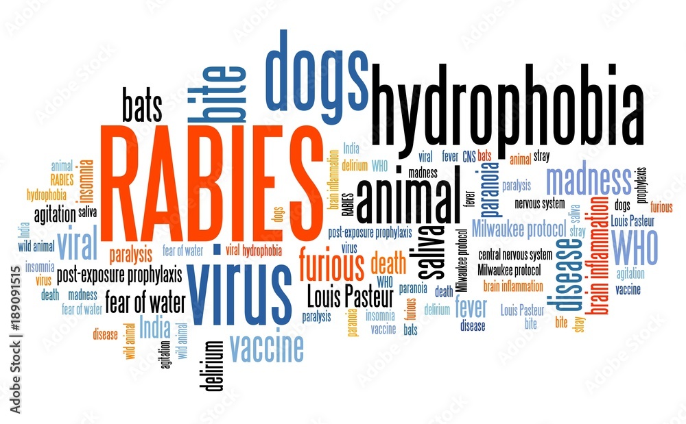 Fototapeta premium Rabies