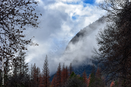 Yosemite in Mist