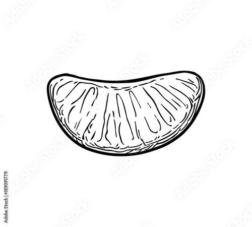 Ink sketch of mandarin orange.