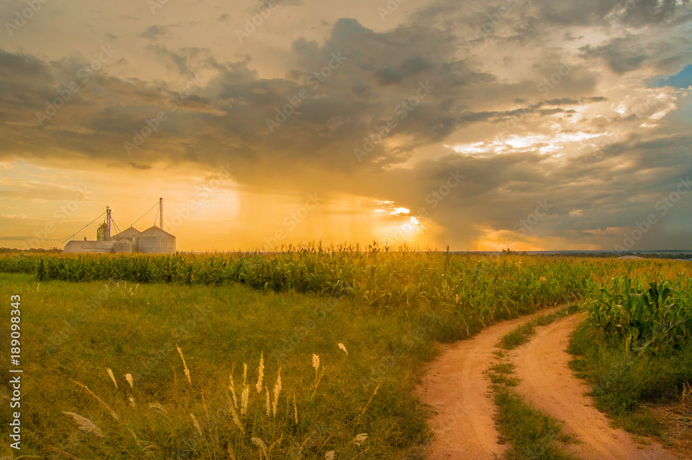 Fototapeta premium Agronegócio