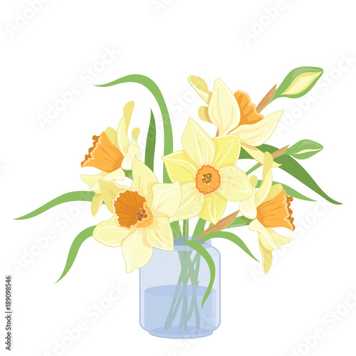Bouquet narcissus in a vase isolated vector clipart illustration of spring narcissus flowers