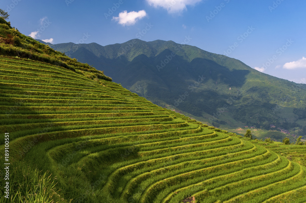 Beautiful view of the Longsheng Rice Terraces near the of the Dazhai village in the province of Guangxi, in China; Concept for travel in China and beutiful and serene landscape