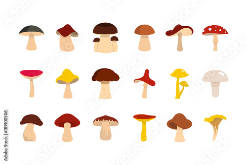 Mushroom icon set, flat style