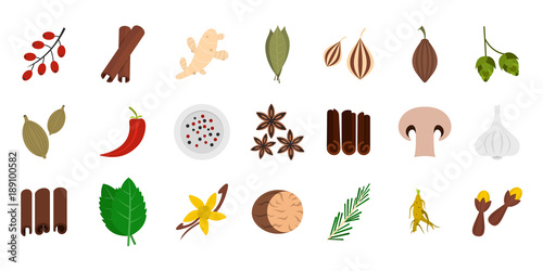 Spices icon set, flat style