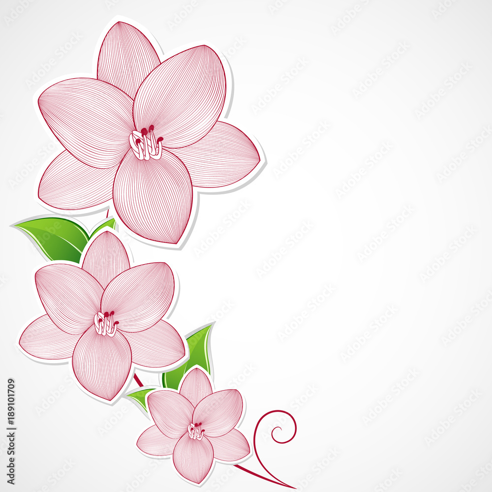 Elegant floral background with flowers lily. Element for design. Vector illustration. Elegant floral background with flowers lily. Element for design. Vector illustration.