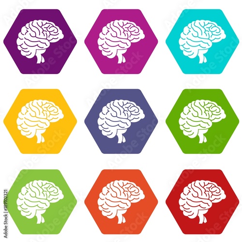 Brain icon set color hexahedron