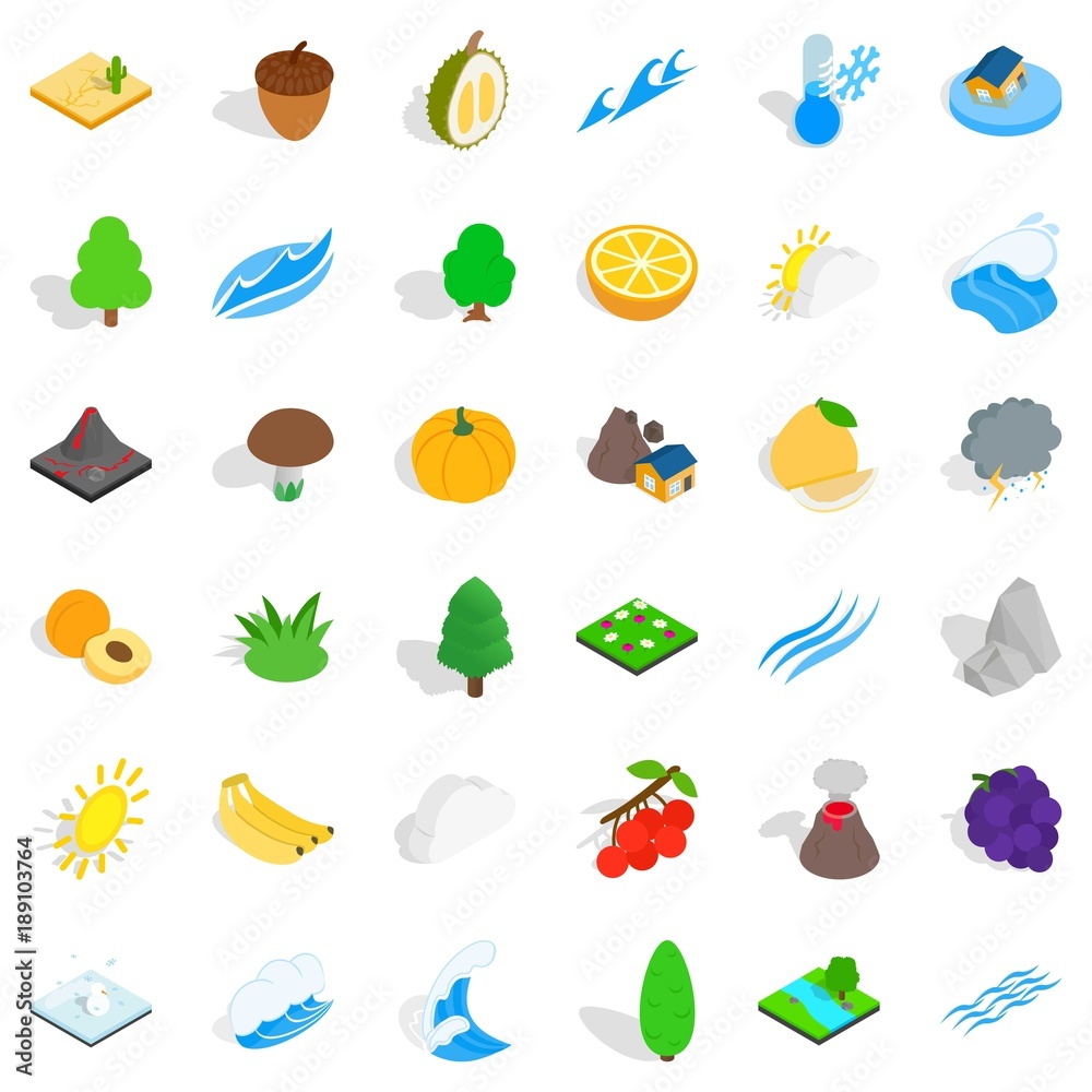 Forest mushroom icons set, isometric style