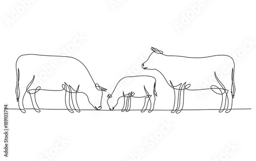 Continuous line drawing of cow and calf