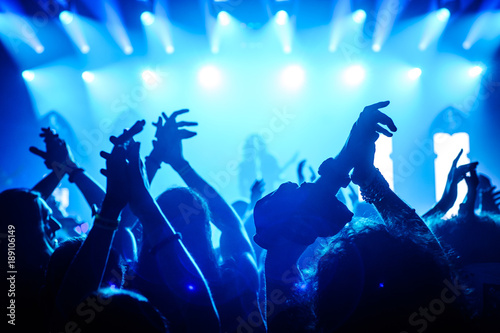 Crowd raising hand in the air and enjoying concert on a festival