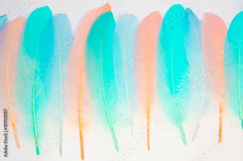Many turquoise, mint and blue feathers. White background. Pink and peach color.