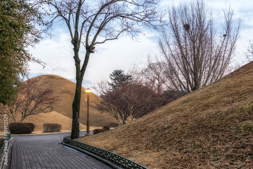 royal mounds in daereungwon photo