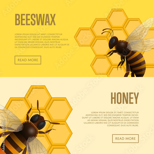 Fresh honey and beeswax retail banners. Honeybee flyers for organic farming, food production design. Natural product advertising, traditional and healthy vegan food, sweet delicacy vector illustration