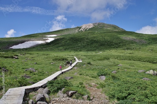 日本の夏の山を登る子供たち