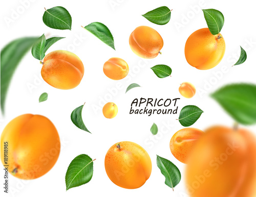 Flying apricot. Realistic 3D Vector apricots background.