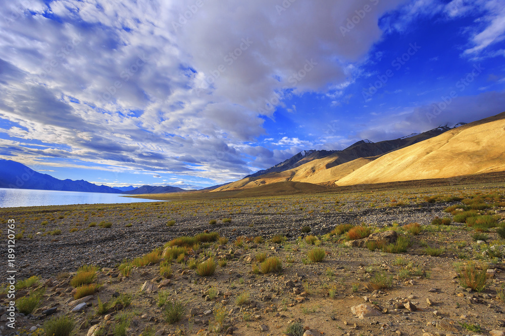 Obraz premium Morning light and beautiful scenery at Pangong Lake, Leh Ladakh, India