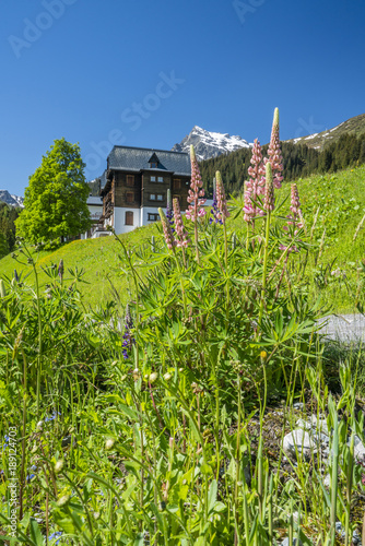 Frühling in den Alpen photo