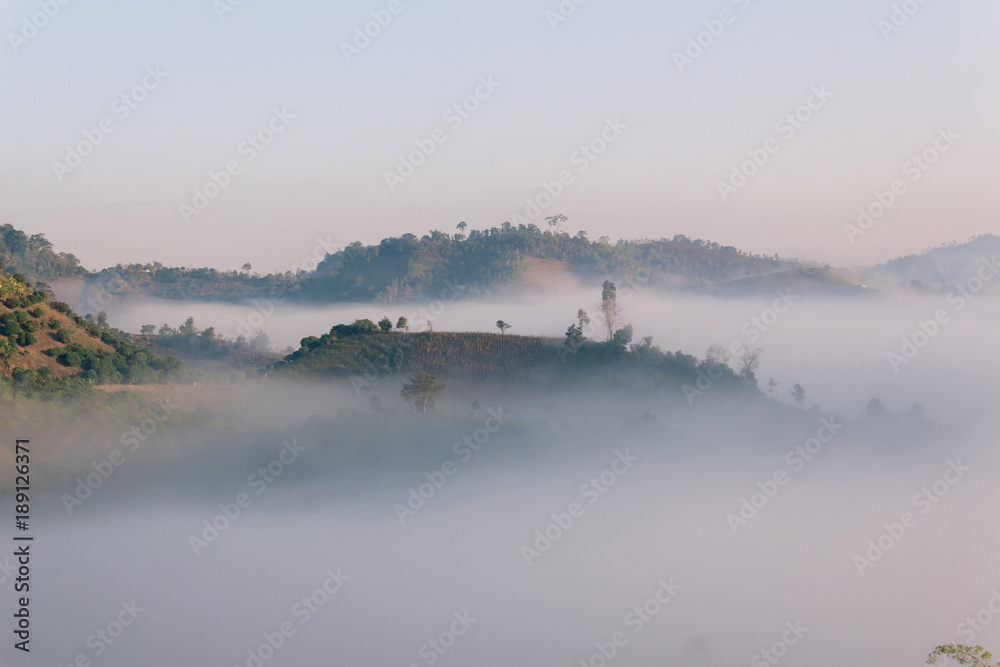 Fog path through the mountain farm uphill to the sky at morning time.