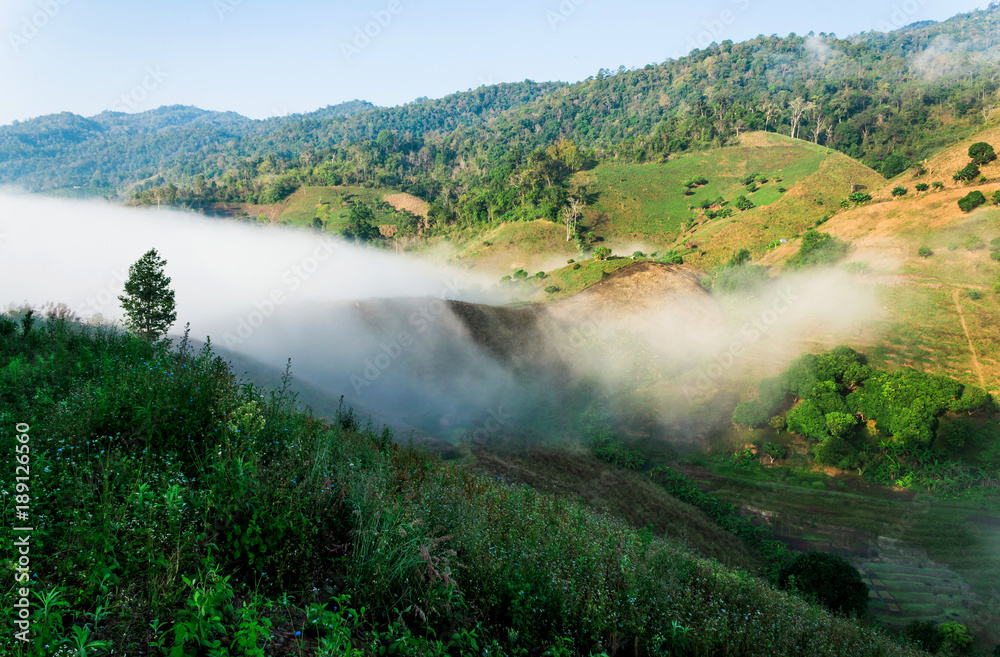 Fog path through the mountain farm uphill to the sky at morning time.