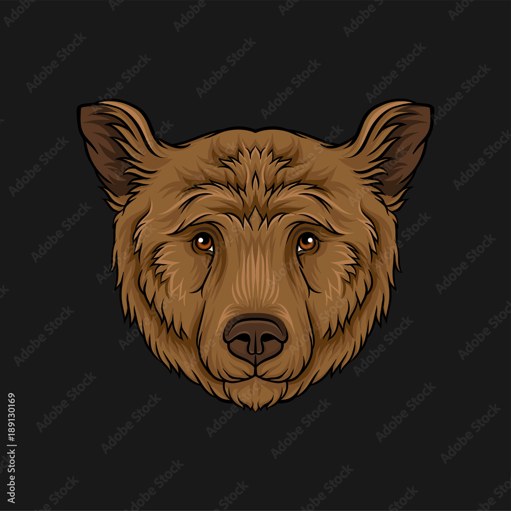 Head of brown bear, face of wild animal hand drawn vector Illustration - obrazy, fototapety, plakaty 