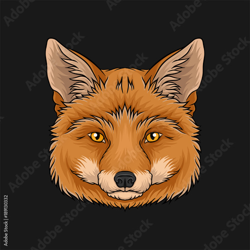 Head of red fox, face of wild animal hand drawn vector Illustration