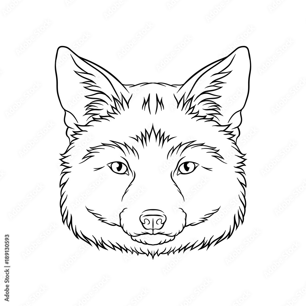 Black and white sketch of fox head, face of wild animal hand drawn vector Illustration