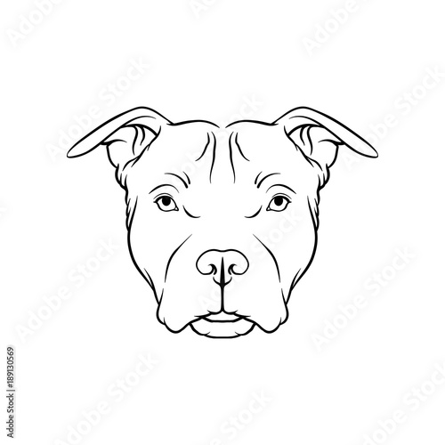 Black and white sketch of bulldog dogs head  face of pet animal hand drawn vector Illustration