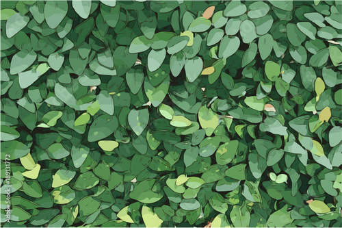 green leaf background