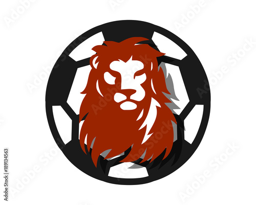 Fototapeta Naklejka Na Ścianę i Meble -  football soccer lion leo head image vector icon logo