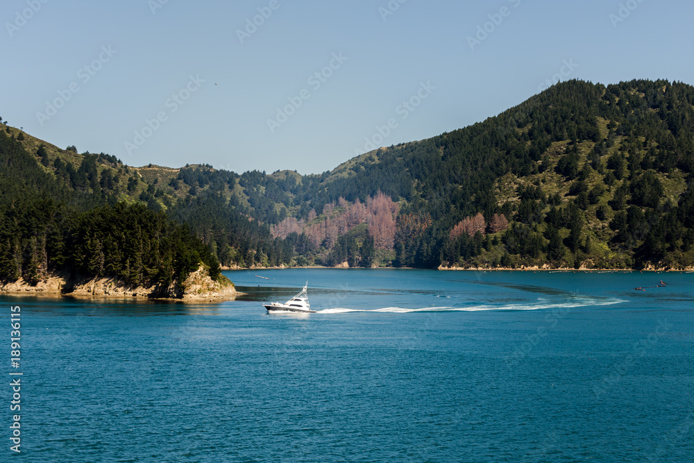 Wild landscape, shot from the top deck of a ferry, travelling from Wellington to Picton, New Zealand.