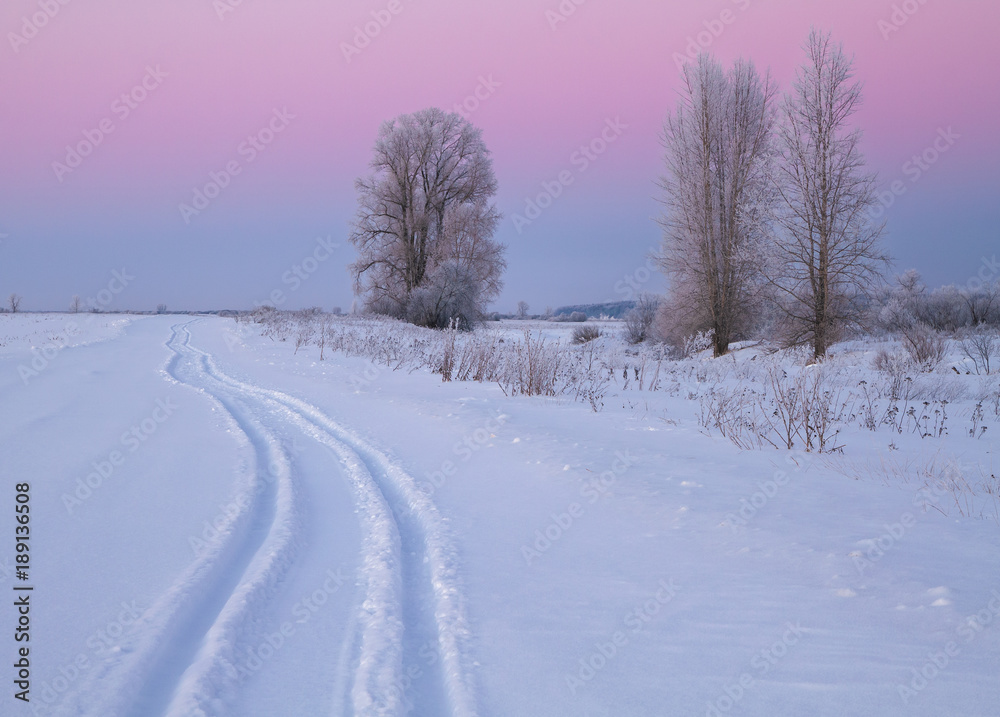 frosty winter evening in the field and trace