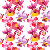 Wildflower pink orchid flower pattern in a watercolor style. Full name of the plant: pink orchid. Aquarelle wild flower for background, texture, wrapper pattern, frame or border.
