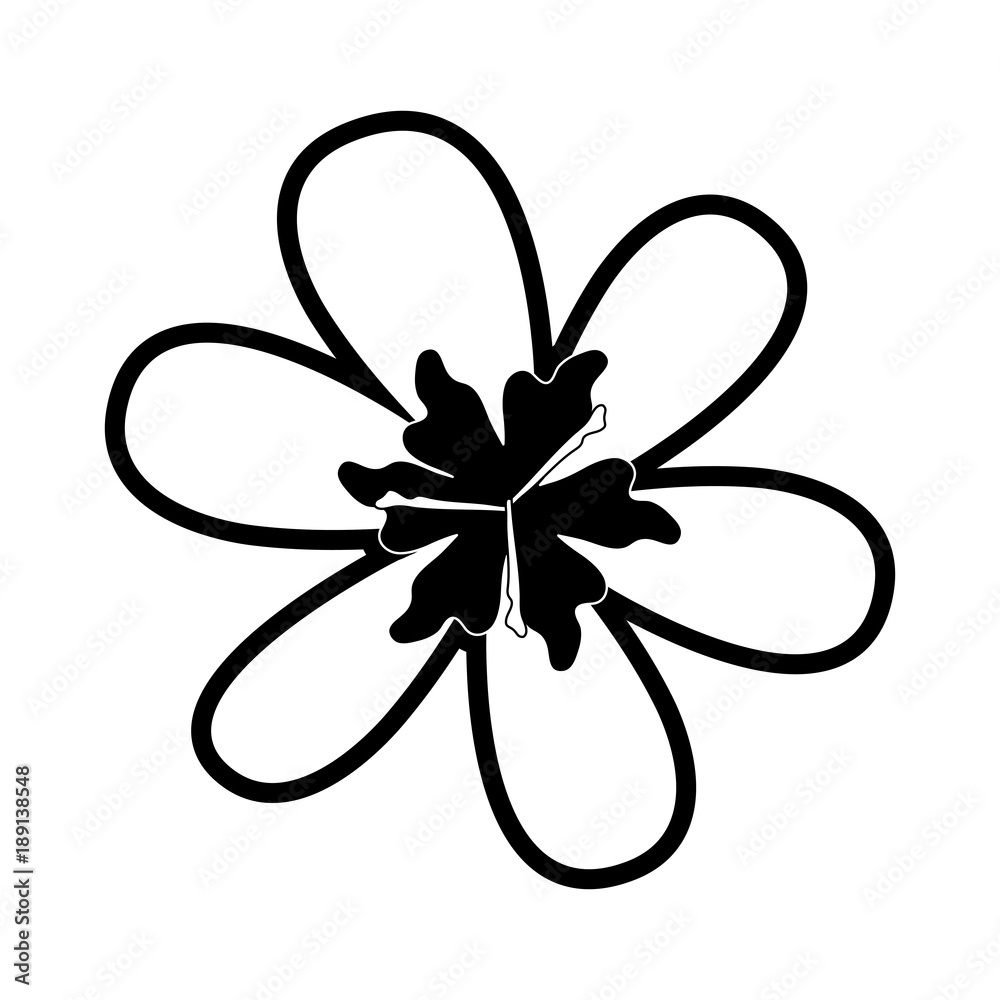 white flower design vector illustration white flower design vector illustration