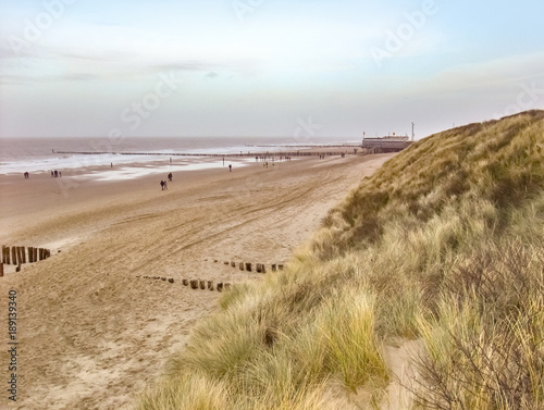 coastal beach scenery