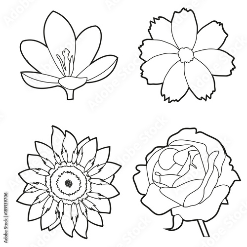 Spring nature design