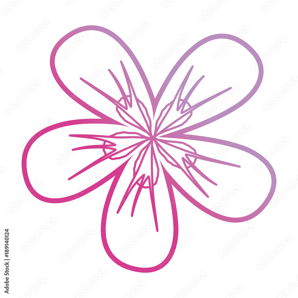 purple flower design  vector illustration