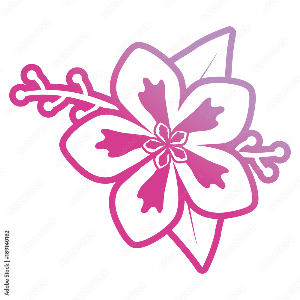purple  flower with leaves  vector illustration