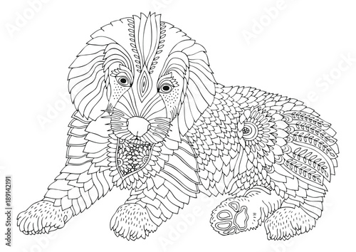 Puppy. Hand drawn dog. Sketch for anti-stress adult coloring book in zen-tangle style. Vector illustration for coloring page.