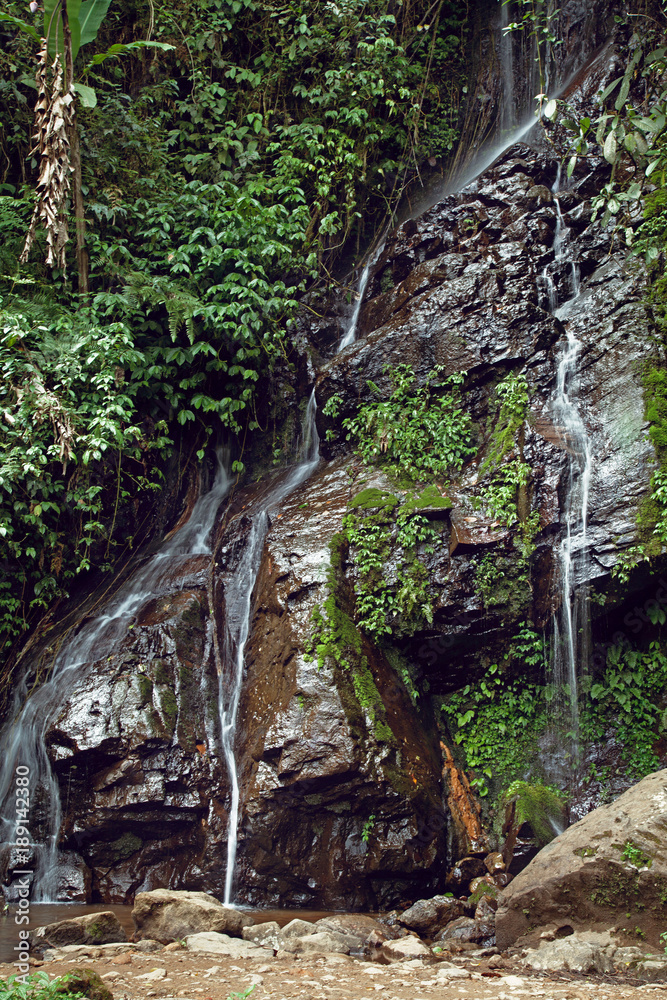 Fototapeta premium Waterfall hidden in the tropical jungle