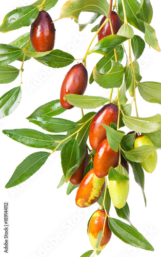 Fresh jujube fruit