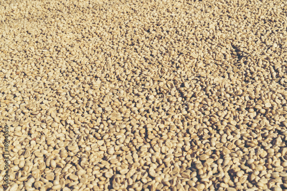 coffee beans process in Thailand coffee beans process in Thailand