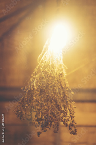 Decorative antique edison s...